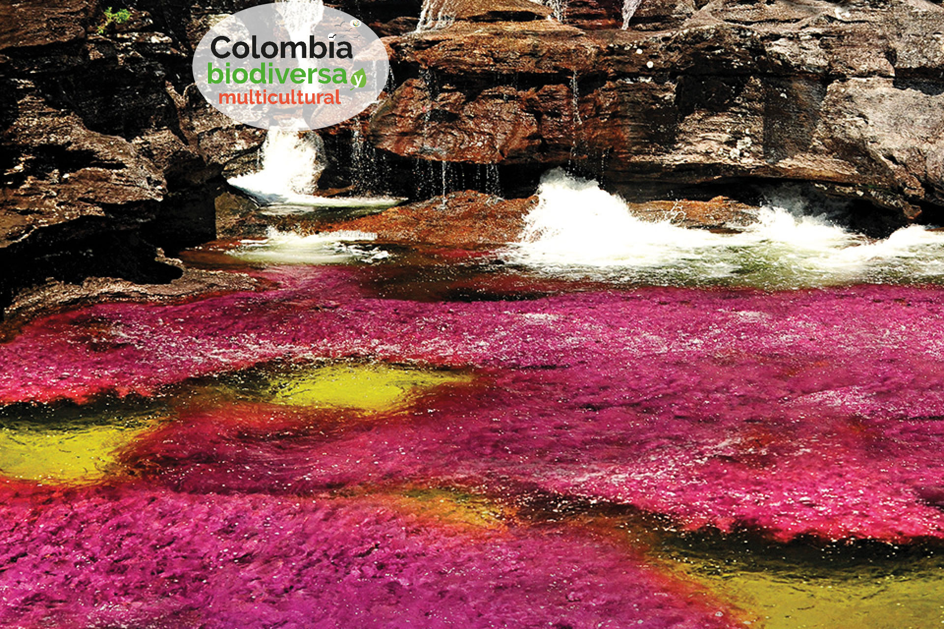 Maravillate-con-Cano-Cristales-52.jpg