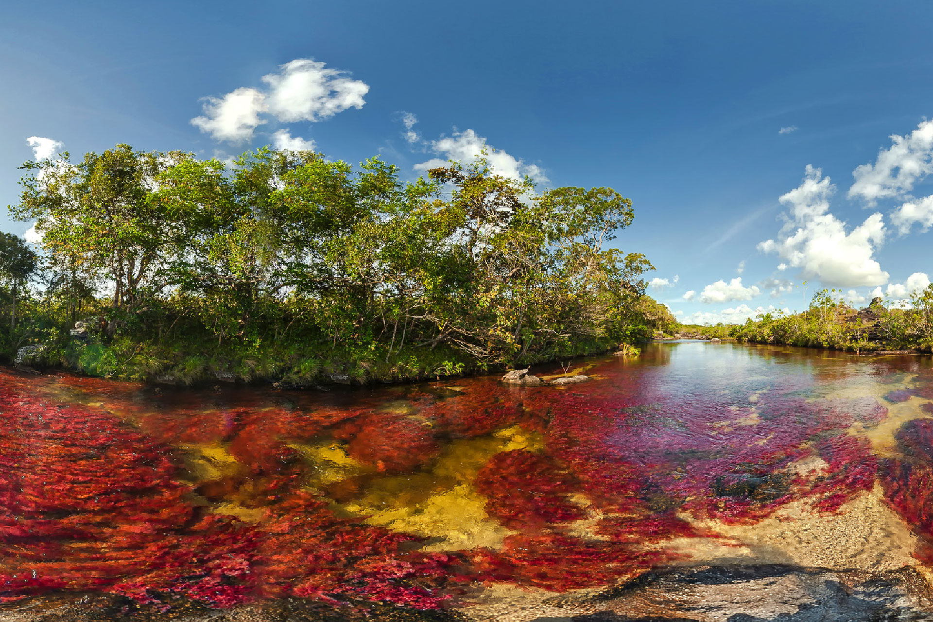 Maravillate-con-Cano-Cristales-53.jpg
