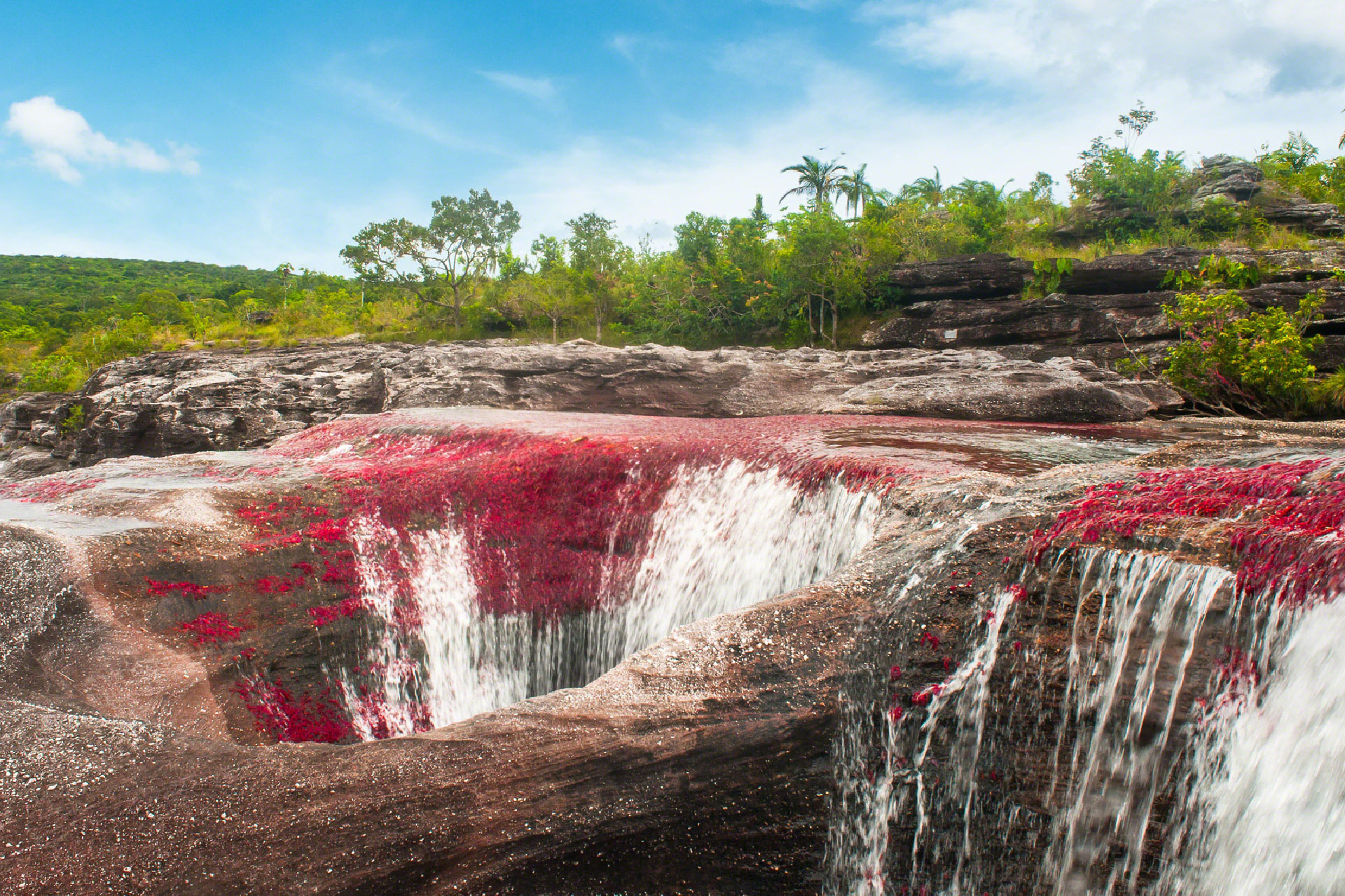 Maravillate-con-Cano-Cristales-54.jpg