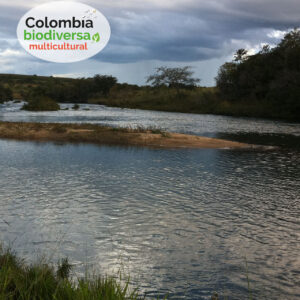Tour a Río Claro