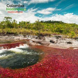 Visita Caño Cristales