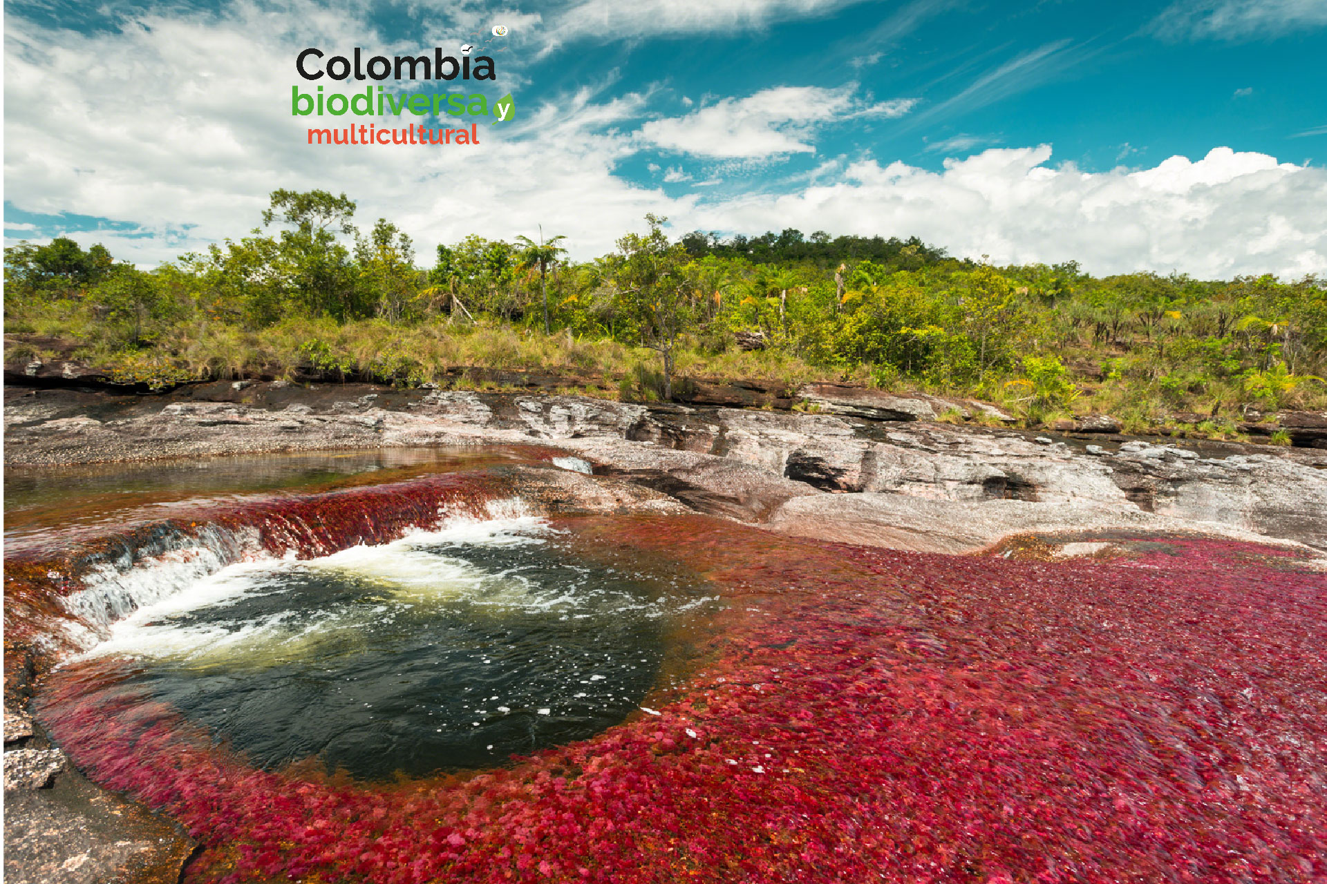 Visita-Cano-Cristales-01.jpg