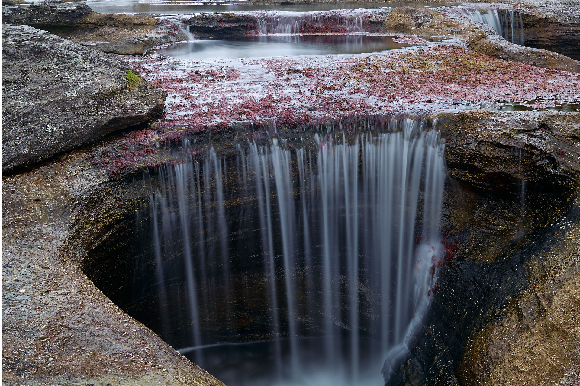 Visita-Cano-Cristales-03.jpg